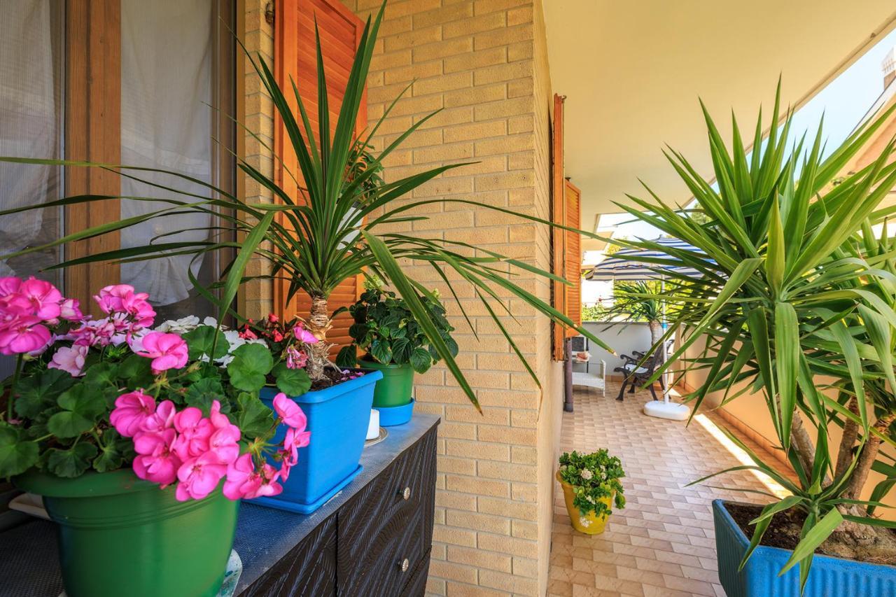 Porto SantʼElpidio B&B Il Tiglio المظهر الخارجي الصورة